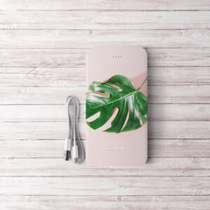 Power Bank 10000 mAh in Various Designs