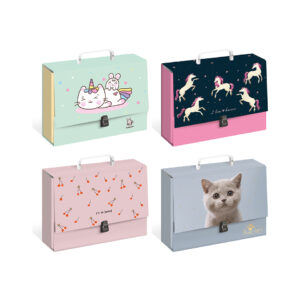 Cardboard File Folder With
Handle C4 Girls