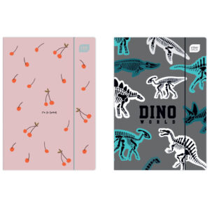 Folder With Elastic Band A4+
Pp