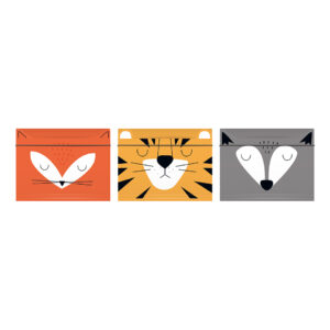 File Folder W/ Elastic Band A4+
Bb Boys