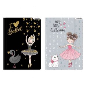 FILE WITH RUBBER BAND A4