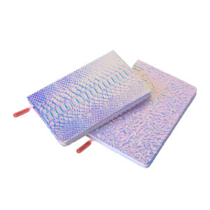 Helio Ferretti Holo A5 Notebooks