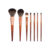 Make Up Brush Set