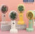 Electric Fan