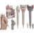 Squeeze Pen, Dog & Cat, approx. 19 cm, 2 ass., 12 pcs. per display