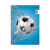 NOTEBOOK SPORT 17X25, 60p.