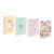 Hardcover File Folder With
Elastic  A4+ Girls